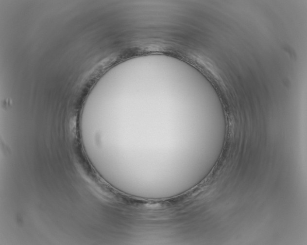 X0000090970406200708021147