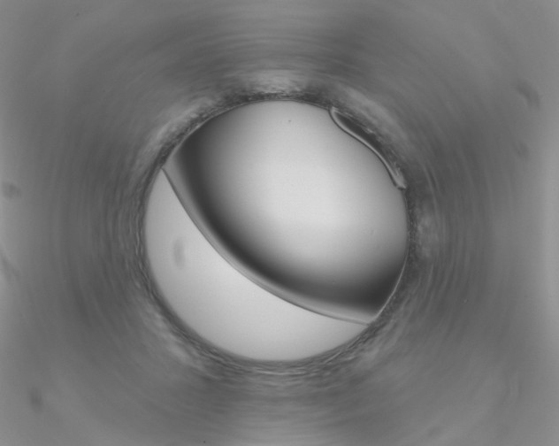 X0000090970407200708021147