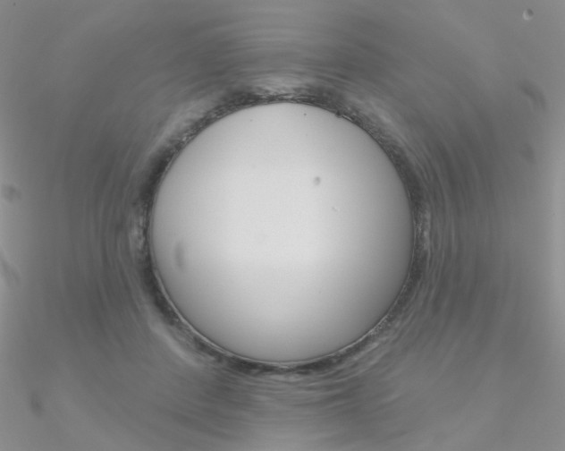 X0000090970408200708021147