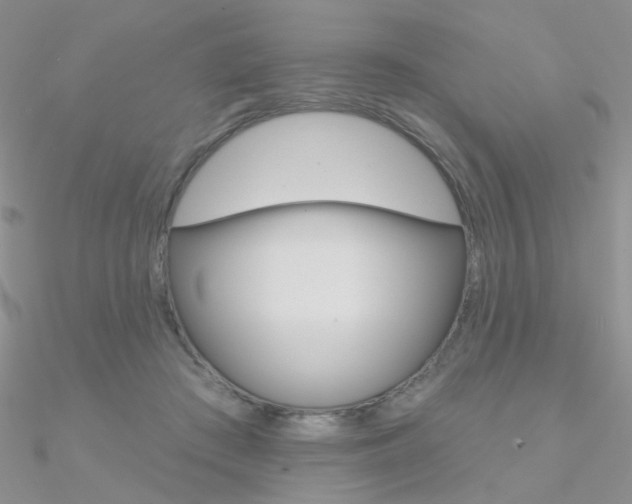 X0000090970409200708021147