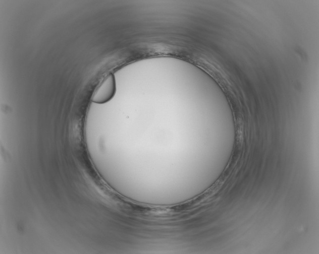 X0000090970410200708021147