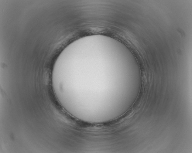 X0000090970412200708021146
