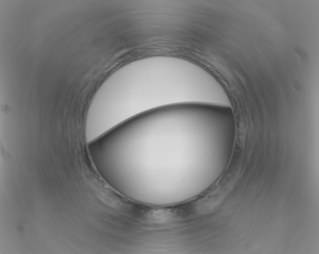 X0000090970413200708021146
