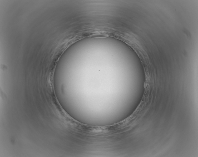 X0000090970415200708021146