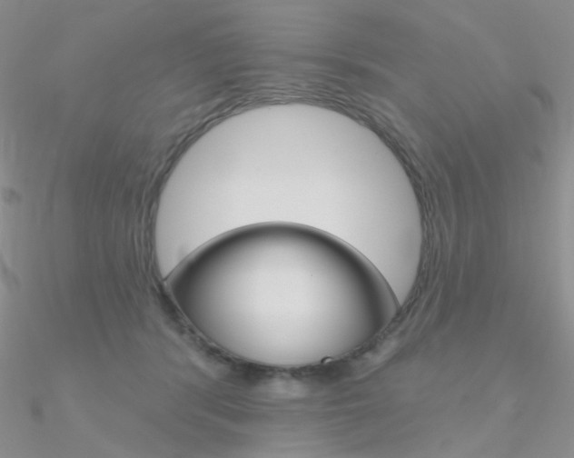 X0000090970416200708021146