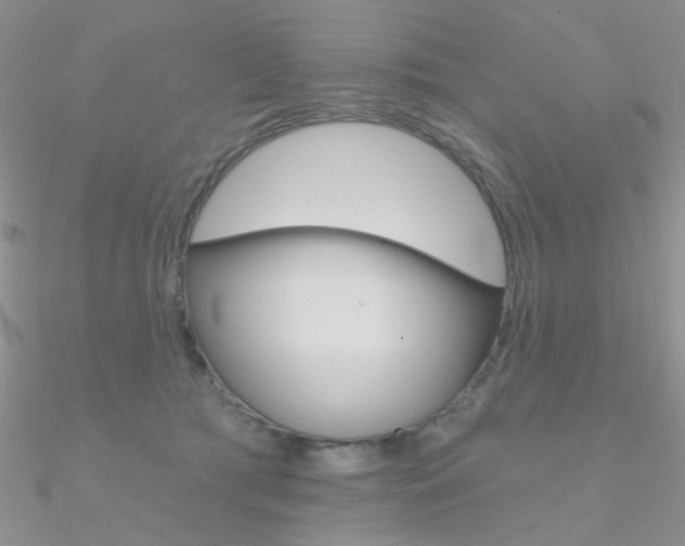 X0000090970417200708021146