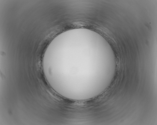 X0000090970418200708021146