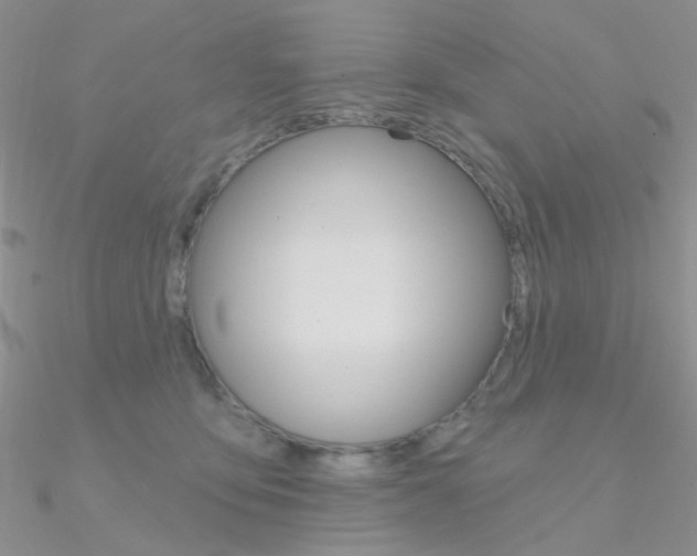 X0000090970419200708021146