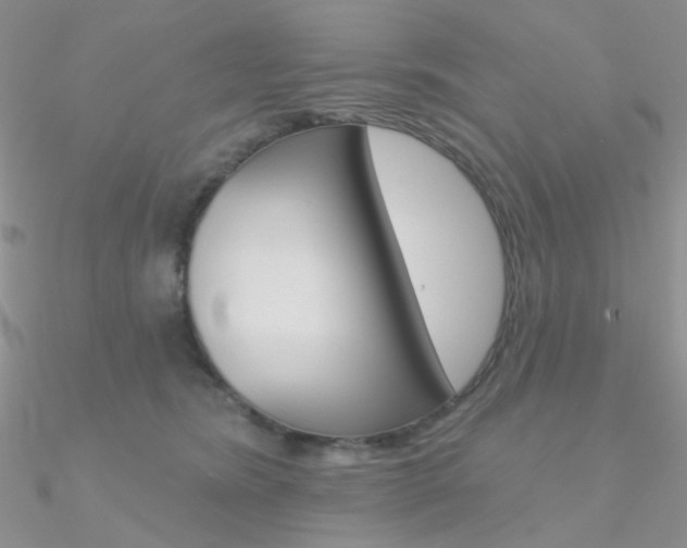 X0000090970420200708021146