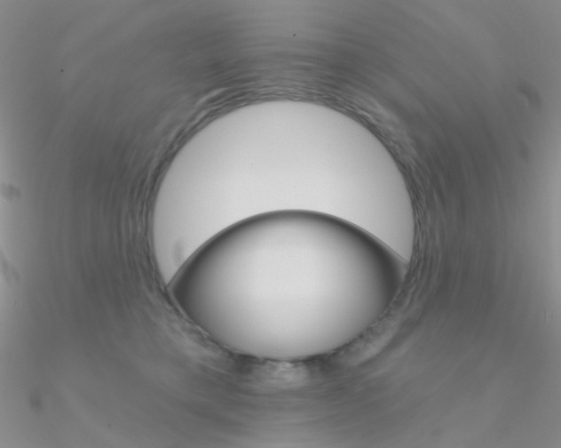 X0000090970421200708021146