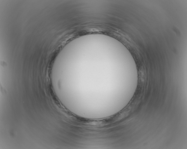 X0000090970422200708021146