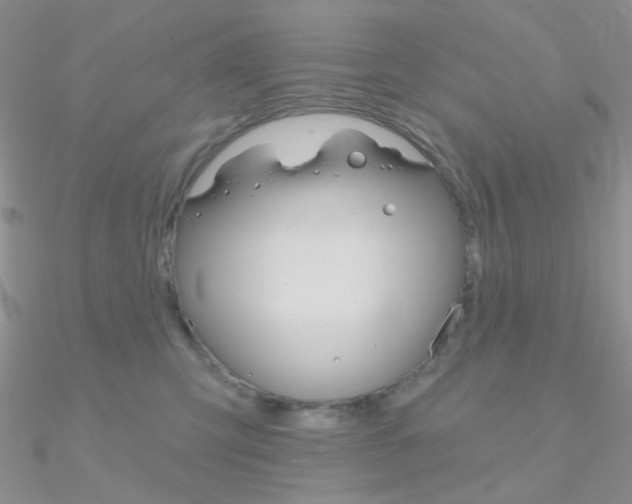 X0000090970423200708021146