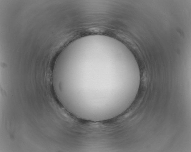 X0000090970424200708021146