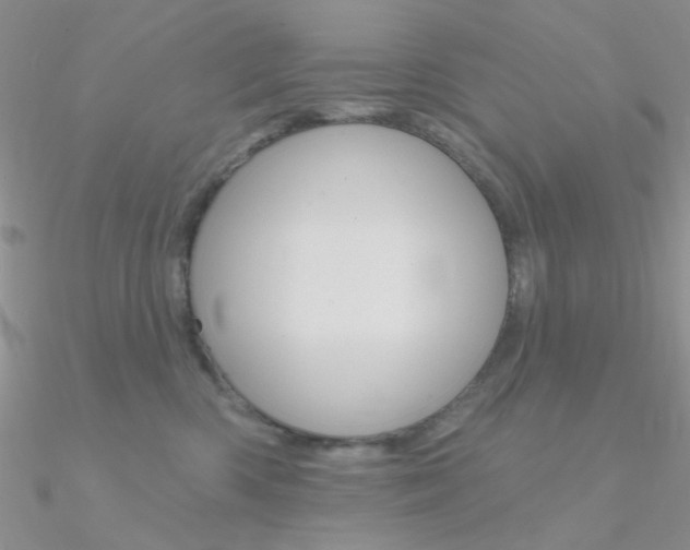 X0000090970426200708021146