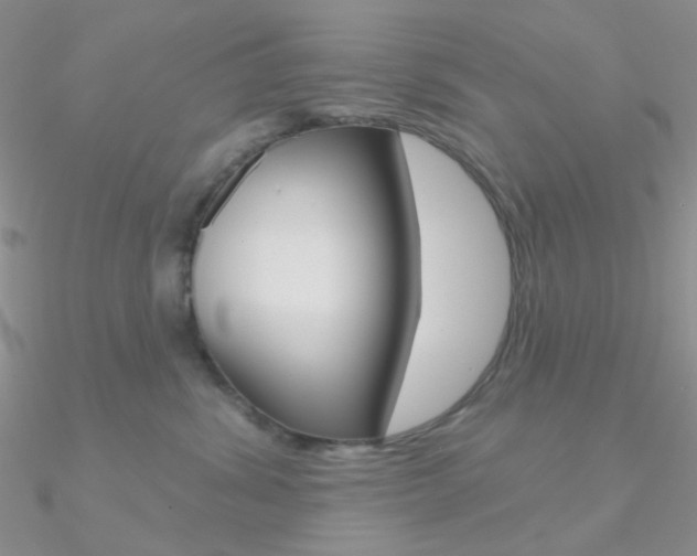 X0000090970428200708021146
