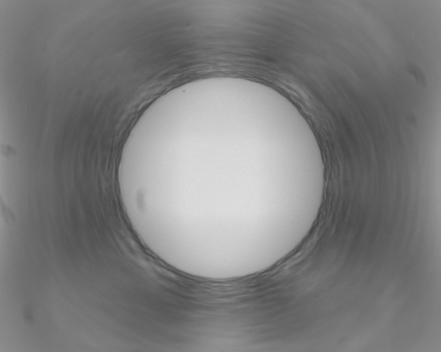 X0000090970429200708021146