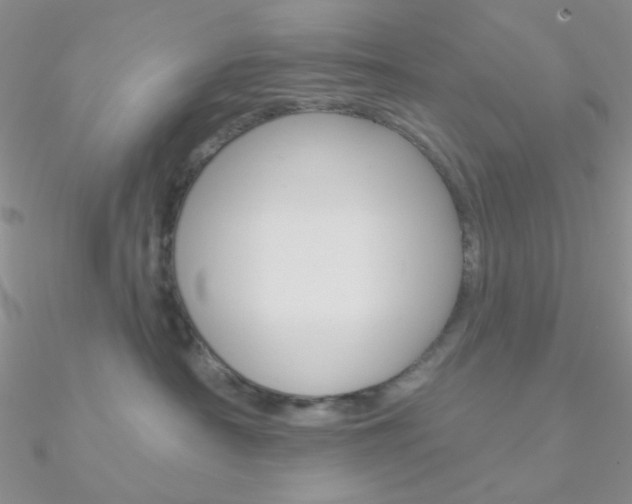 X0000090970430200708021146