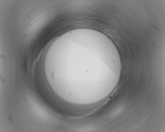 X0000090970431200708021146
