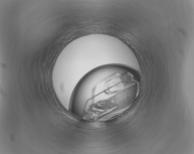 X0000090970432200708021146