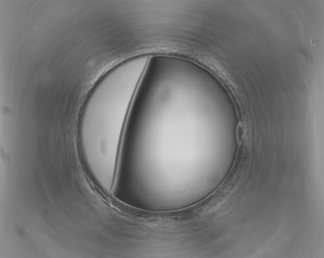 X0000090970434200708021146
