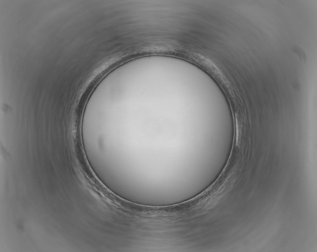 X0000090970435200708021146