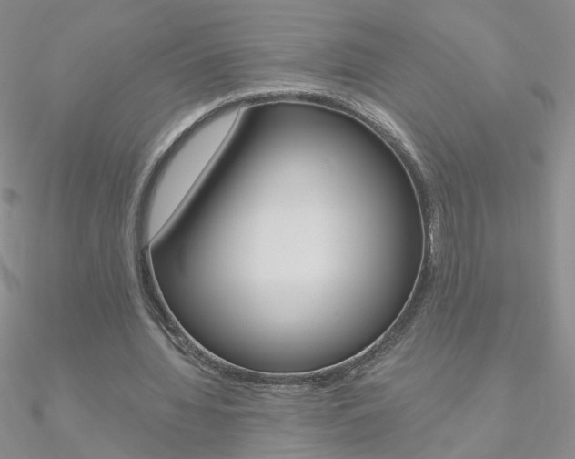 X0000090970436200708021146