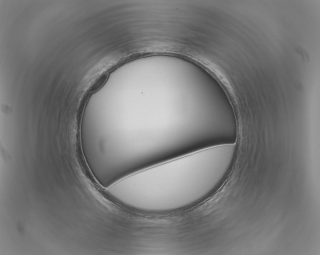X0000090970437200708021146