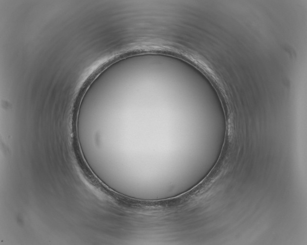 X0000090970438200708021146