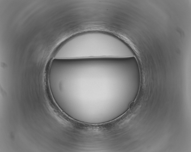 X0000090970439200708021146