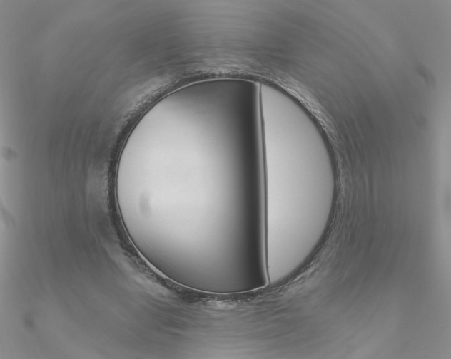 X0000090970442200708021146