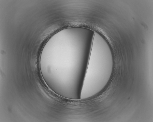 X0000090970443200708021146