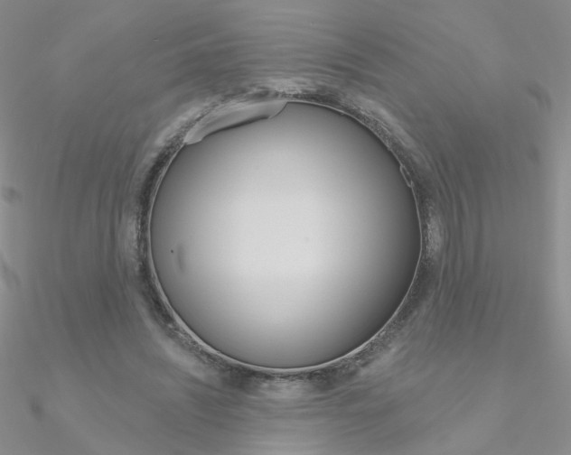 X0000090970444200708021146