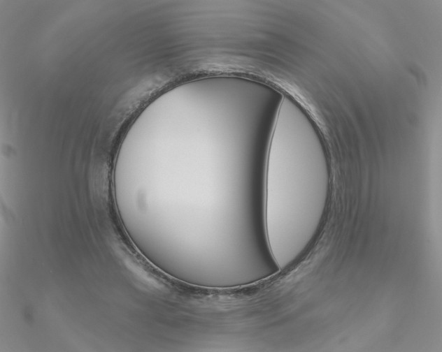 X0000090970445200708021146
