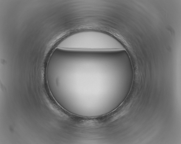 X0000090970446200708021146
