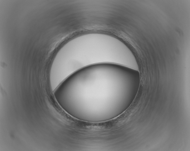 X0000090970448200708021146