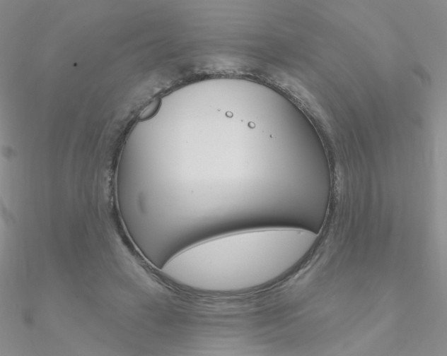 X0000090970449200708021146