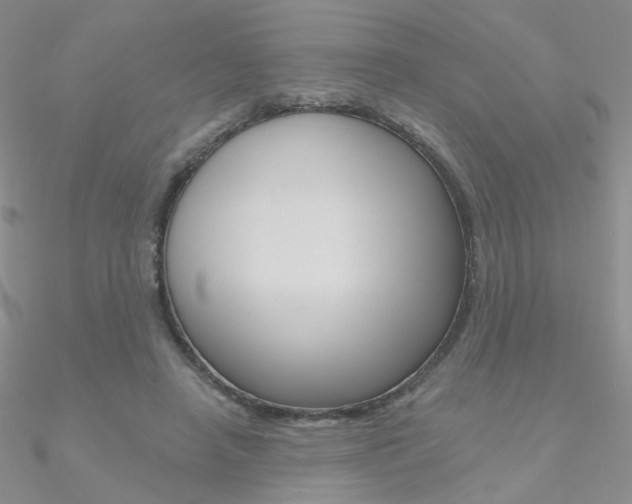 X0000090970450200708021146