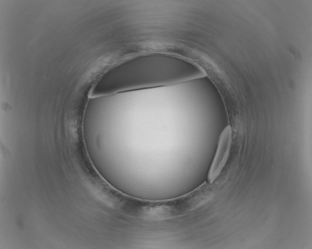 X0000090970452200708021146