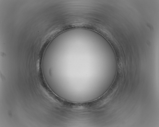 X0000090970454200708021146