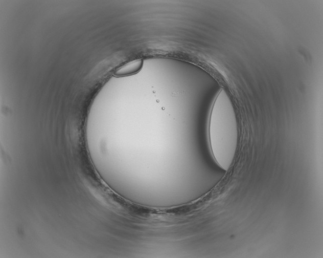 X0000090970455200708021146
