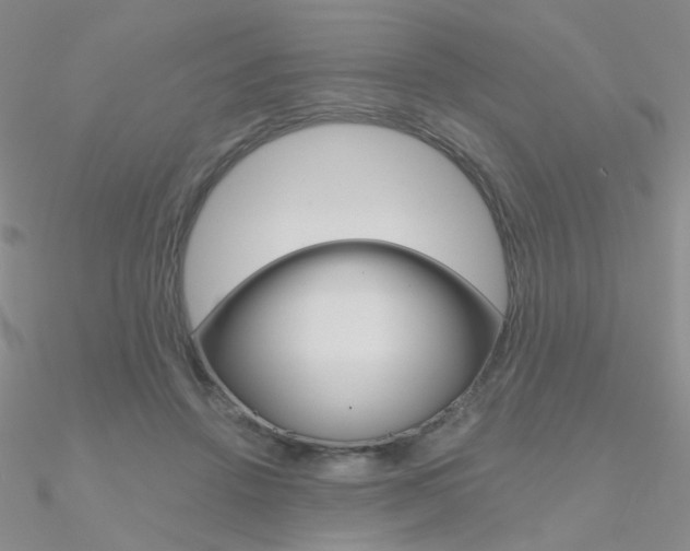X0000090970456200708021146