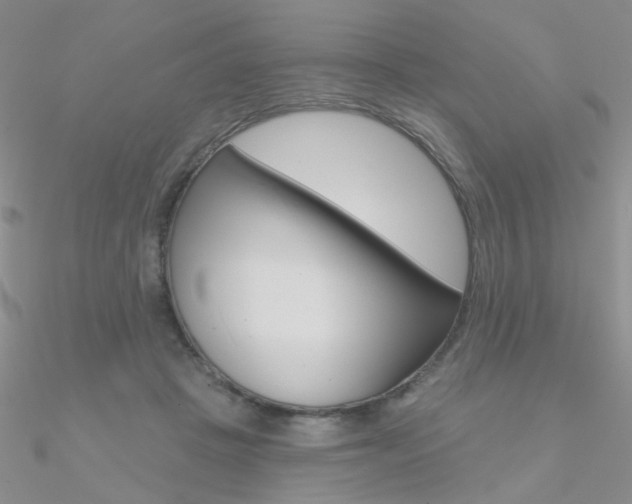 X0000090970457200708021146