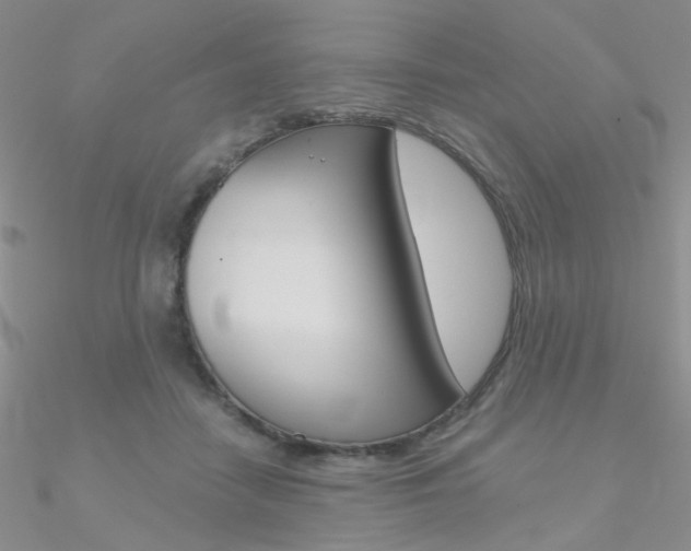X0000090970458200708021146