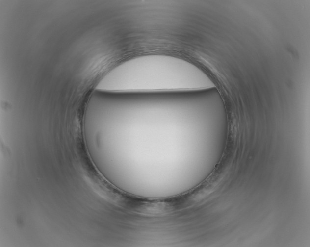 X0000090970459200708021146