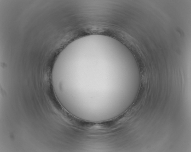 X0000090970460200708021146