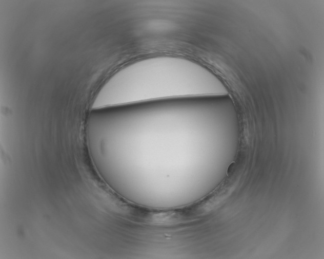 X0000090970461200708021146