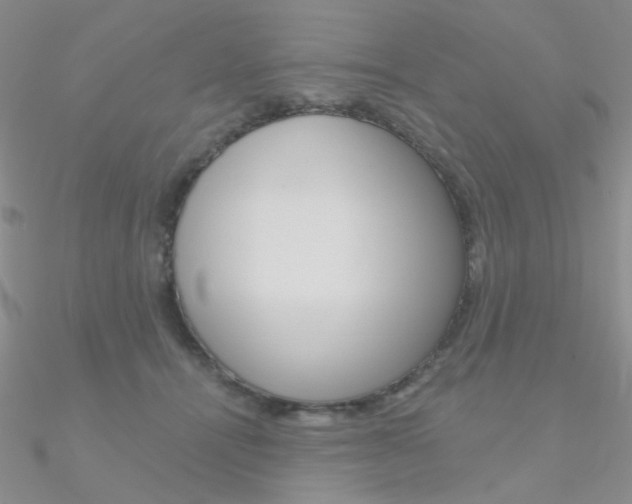 X0000090970464200708021146