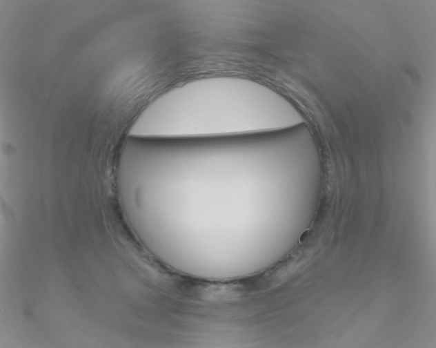 X0000090970465200708021146