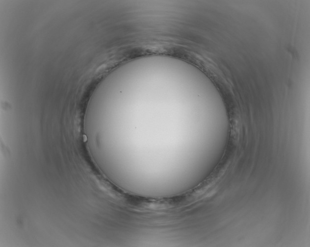 X0000090970466200708021146