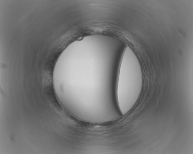 X0000090970467200708021146